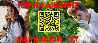 прущие грибы Будённовск