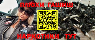 прущие грибы Будённовск