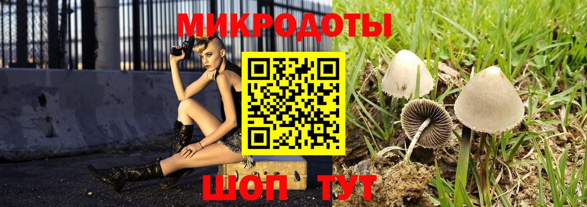 Псилоцибиновые грибы Psilocybe  Вход с VPN  Бутурлиновка 
