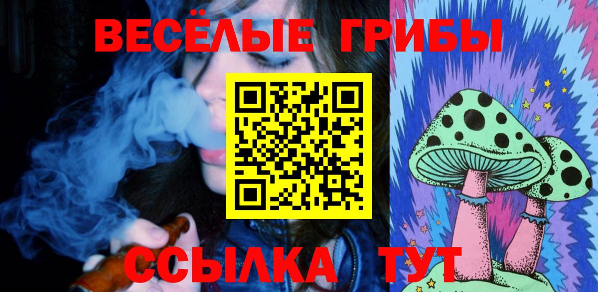 Галлюциногенные грибы Psilocybine cubensis Бутурлиновка